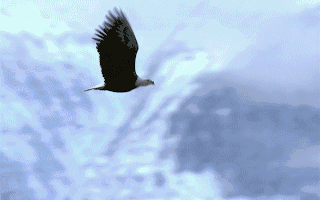 厂商动态_天极资讯频道_IT行业资讯_互联网资讯_电商资讯_打造科技行业权威资讯坐看渠道风云变迁